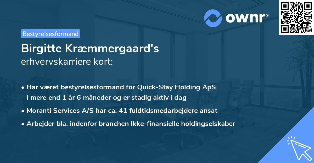 Birgitte Kræmmergaard's erhvervskarriere kort