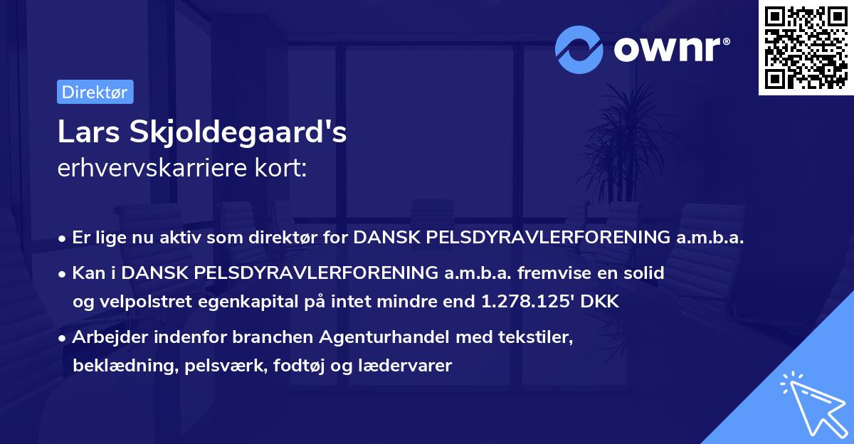 Lars Skjoldegaard's erhvervskarriere kort