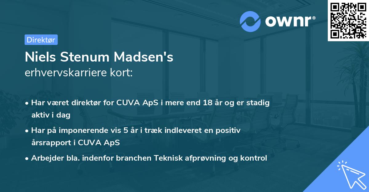 Niels Stenum Madsen's erhvervskarriere kort