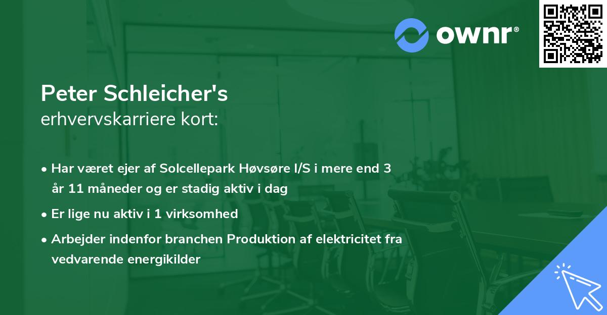 Peter Schleicher's erhvervskarriere kort