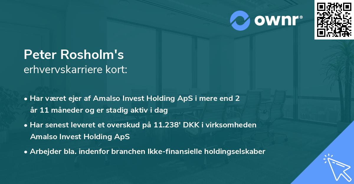 Peter Rosholm's erhvervskarriere kort
