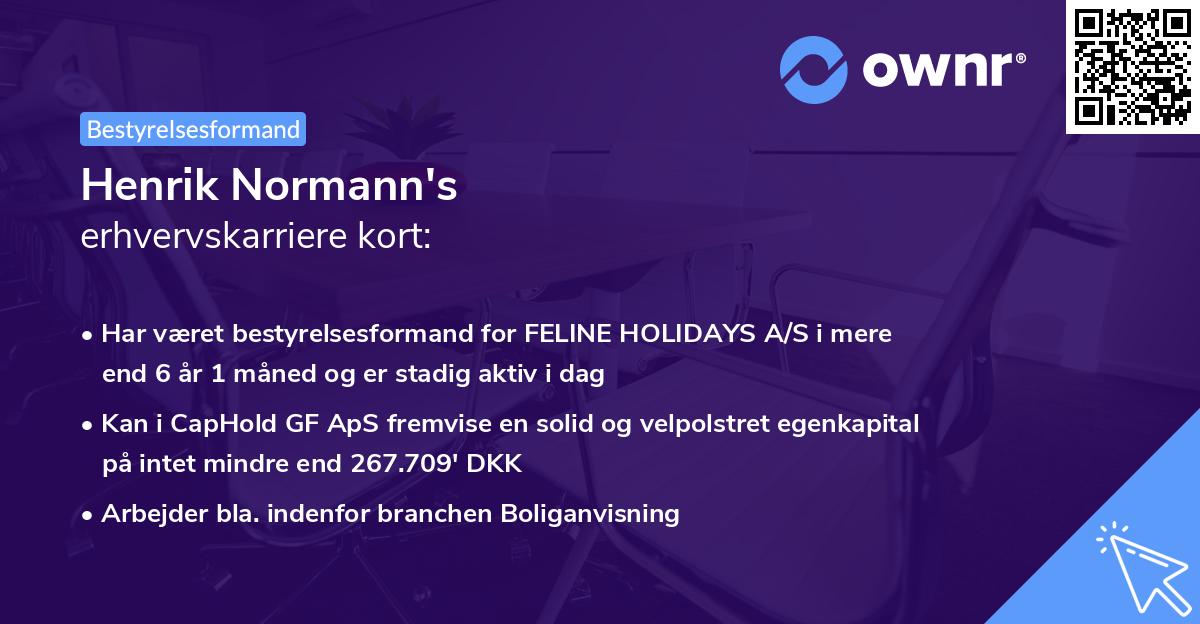 Henrik Normann's erhvervskarriere kort