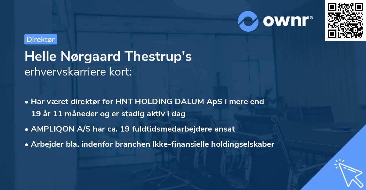 Helle Nørgaard Thestrup's erhvervskarriere kort