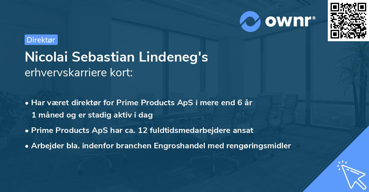 Nicolai Sebastian Lindeneg's erhvervskarriere kort