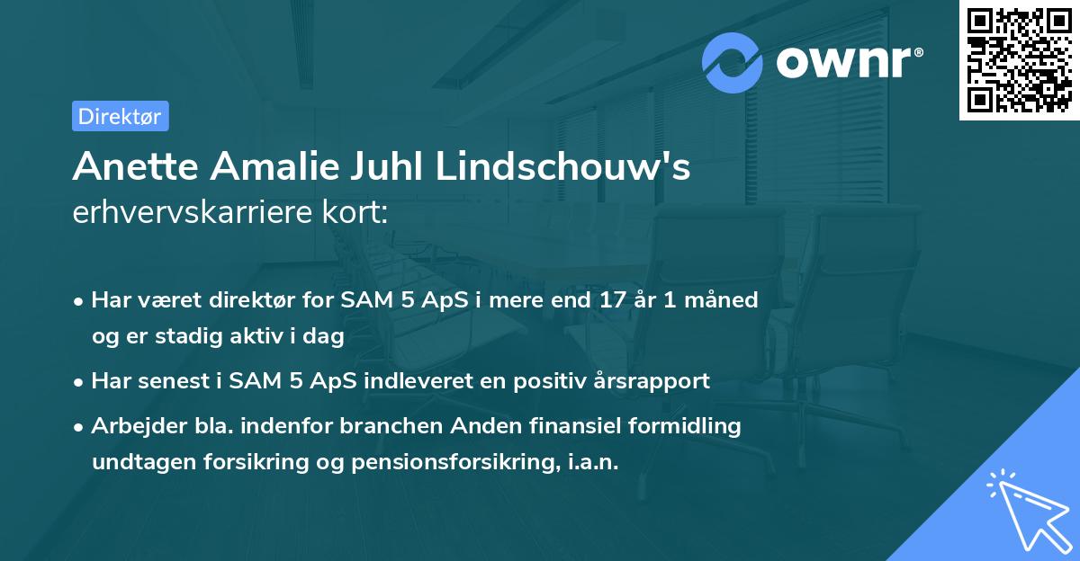 Anette Amalie Juhl Lindschouw's erhvervskarriere kort