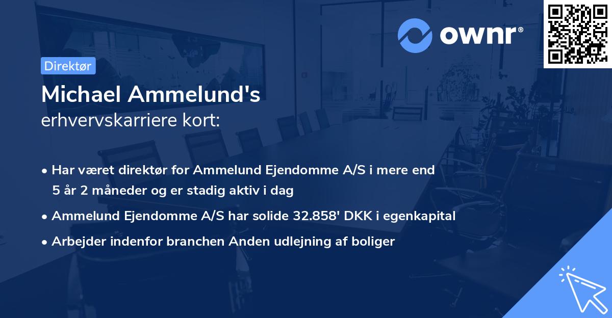 Michael Ammelund's erhvervskarriere kort