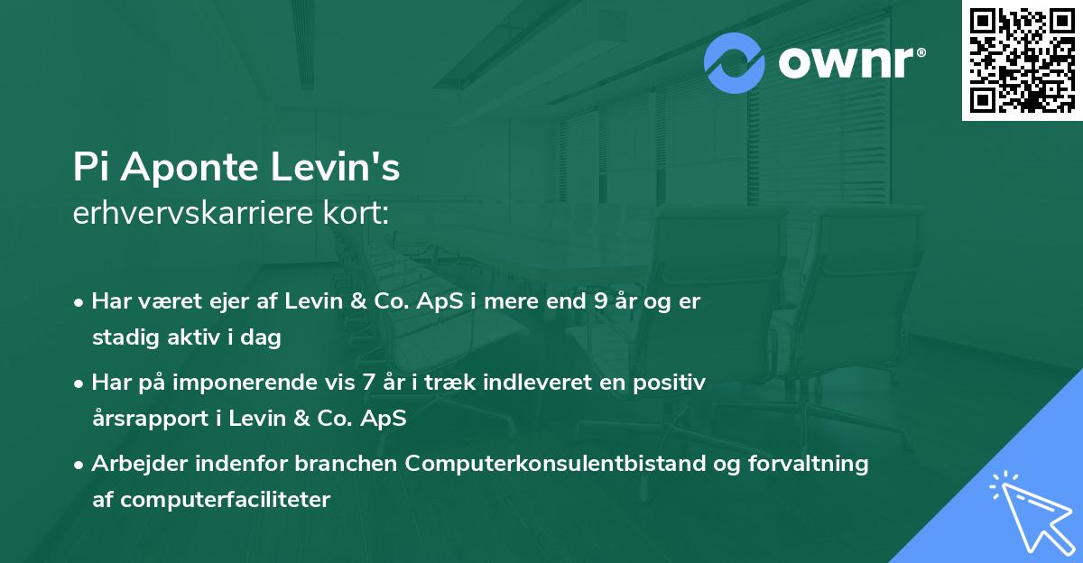 Pi Aponte Levin's erhvervskarriere kort
