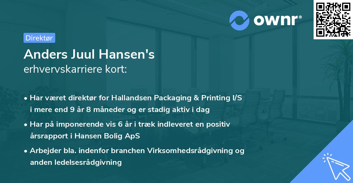Anders Juul Hansen's erhvervskarriere kort