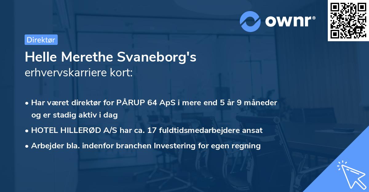 Helle Merethe Svaneborg's erhvervskarriere kort