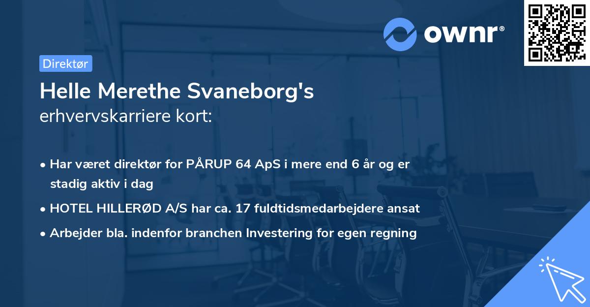 Helle Merethe Svaneborg's erhvervskarriere kort