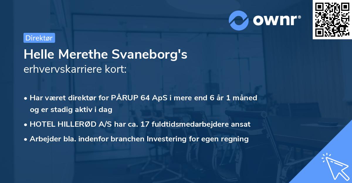 Helle Merethe Svaneborg's erhvervskarriere kort