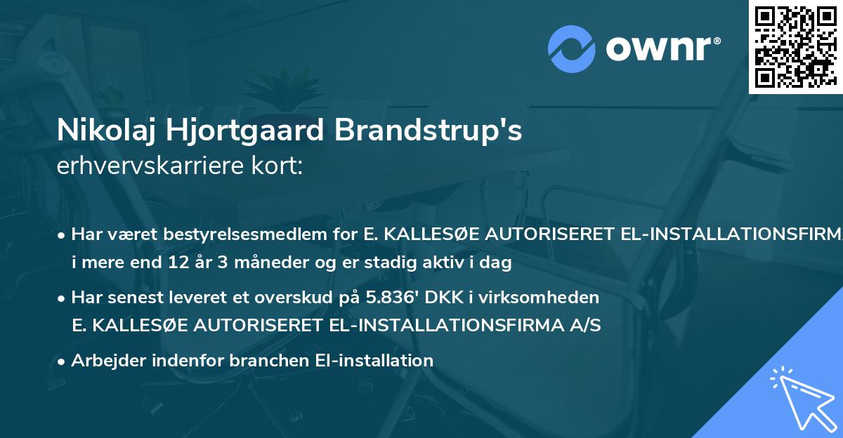 Nikolaj Hjortgaard Brandstrup's erhvervskarriere kort