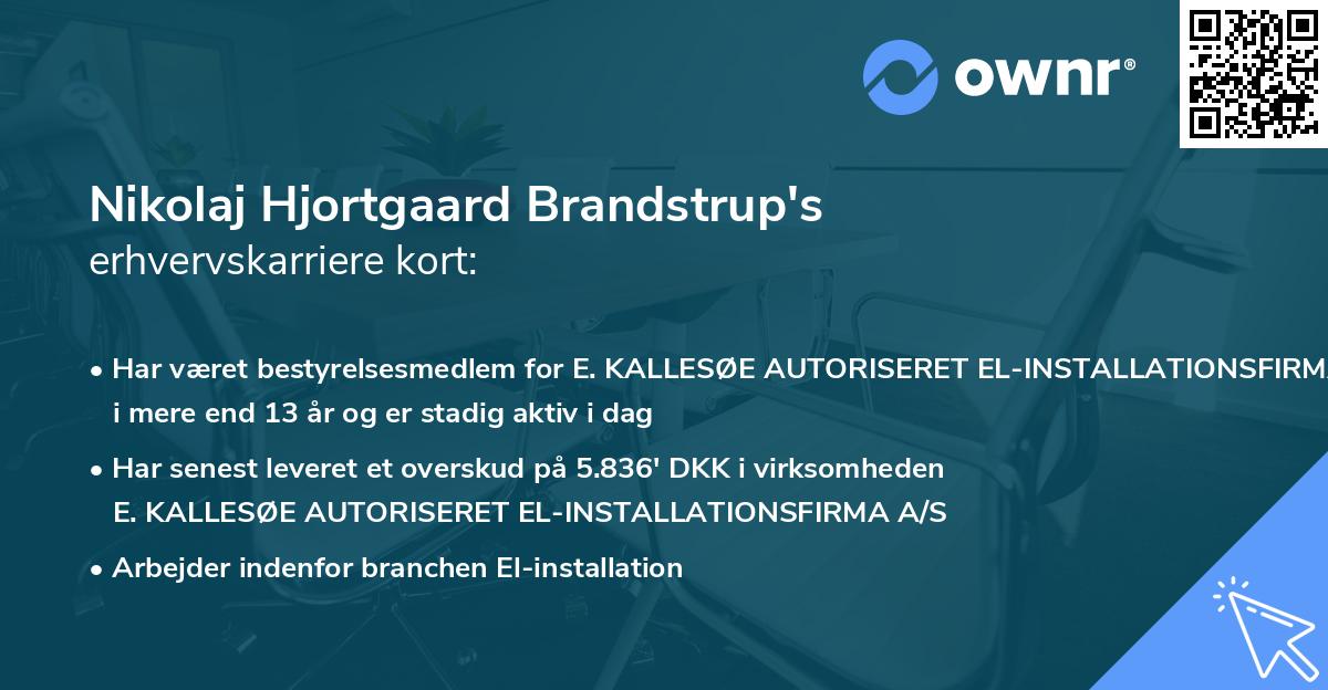 Nikolaj Hjortgaard Brandstrup's erhvervskarriere kort