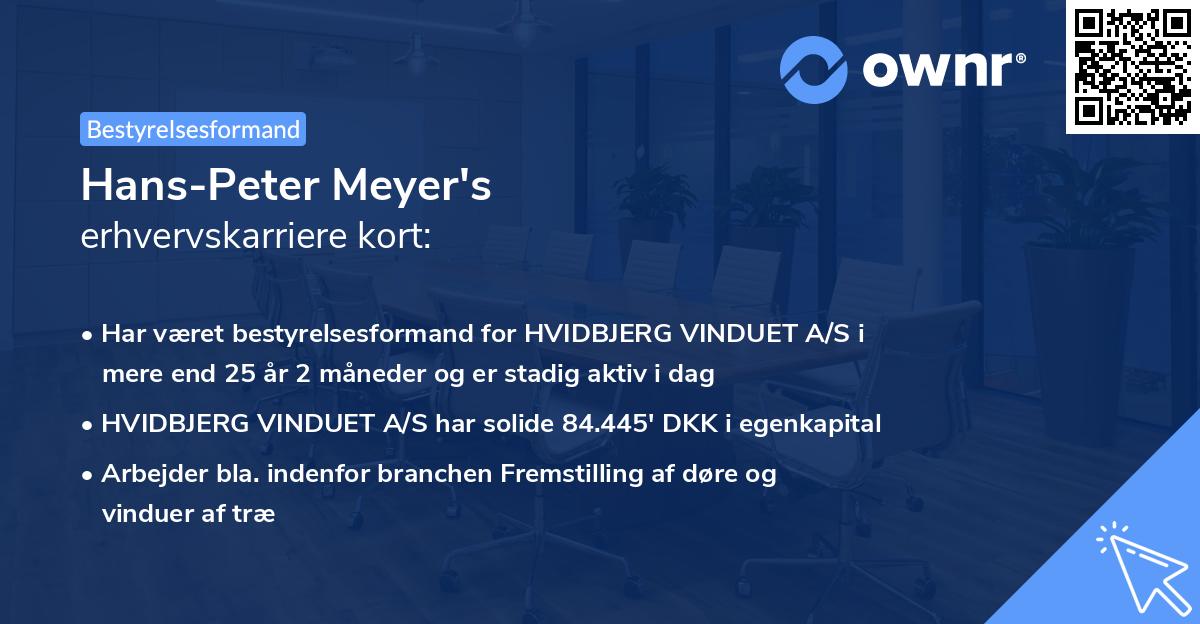 Hans-Peter Meyer's erhvervskarriere kort