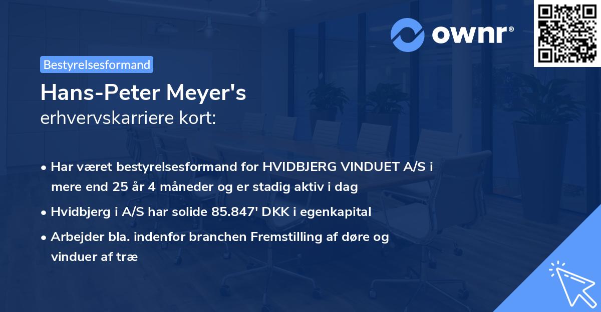 Hans-Peter Meyer's erhvervskarriere kort