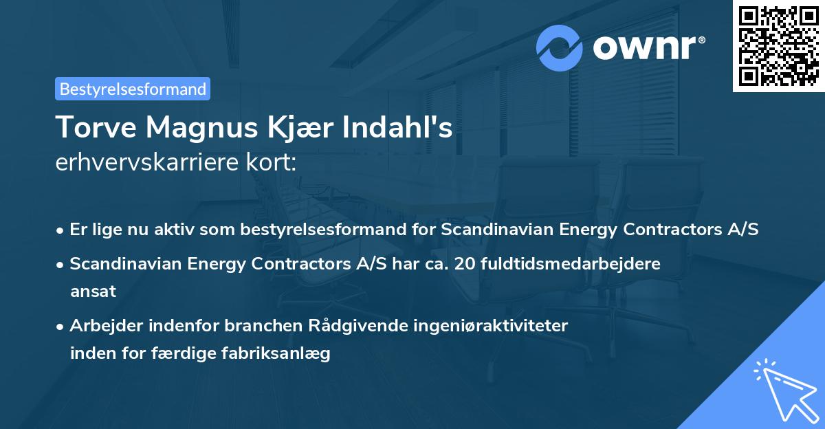 Torve Magnus Kjær Indahl's erhvervskarriere kort
