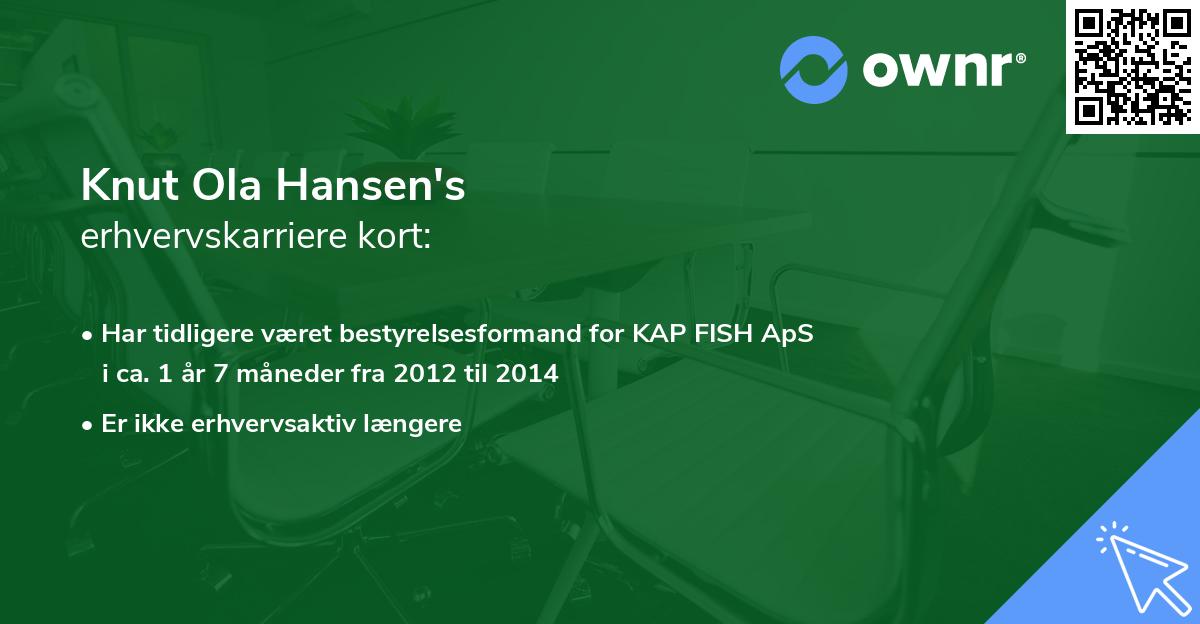 Knut Ola Hansen's erhvervskarriere kort