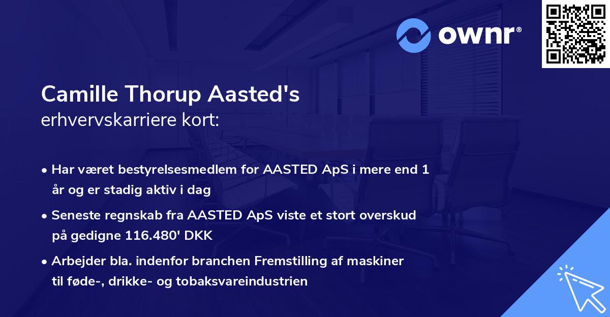 Camille Thorup Aasted's erhvervskarriere kort