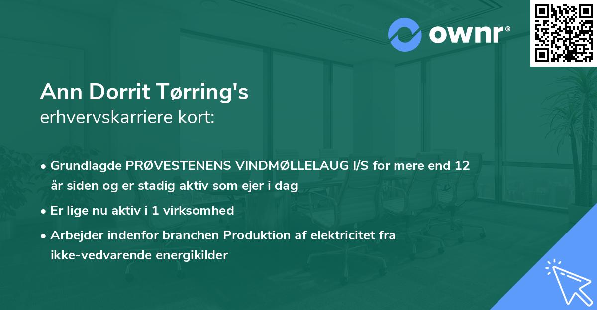 Ann Dorrit Tørring's erhvervskarriere kort