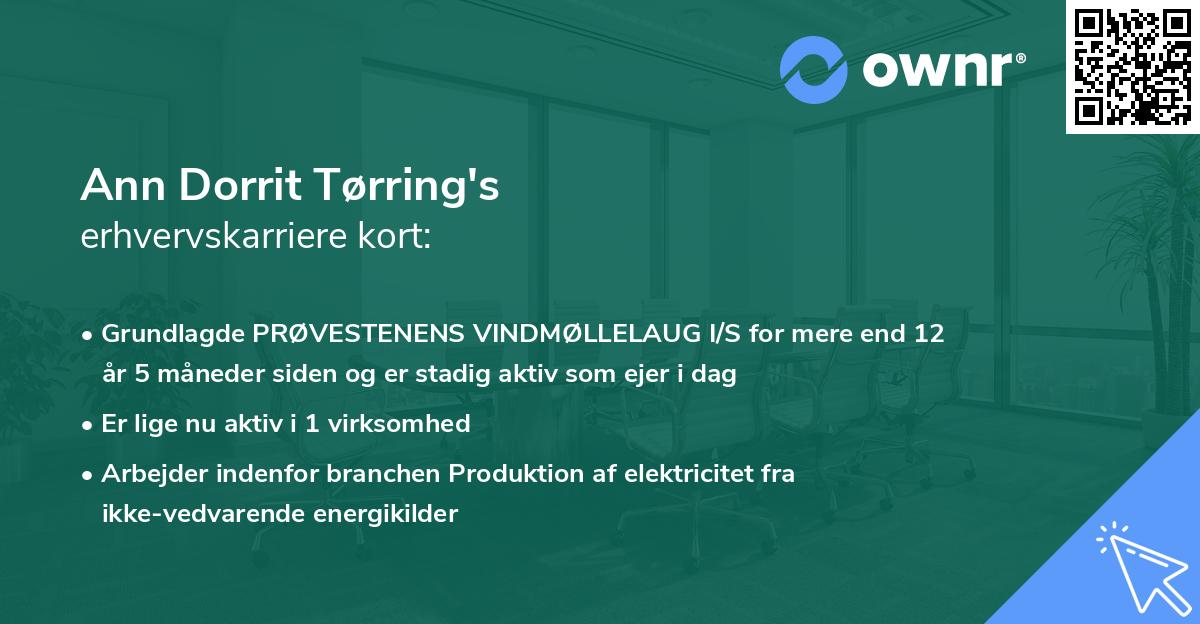 Ann Dorrit Tørring's erhvervskarriere kort