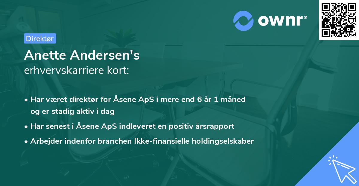 Anette Andersen's erhvervskarriere kort