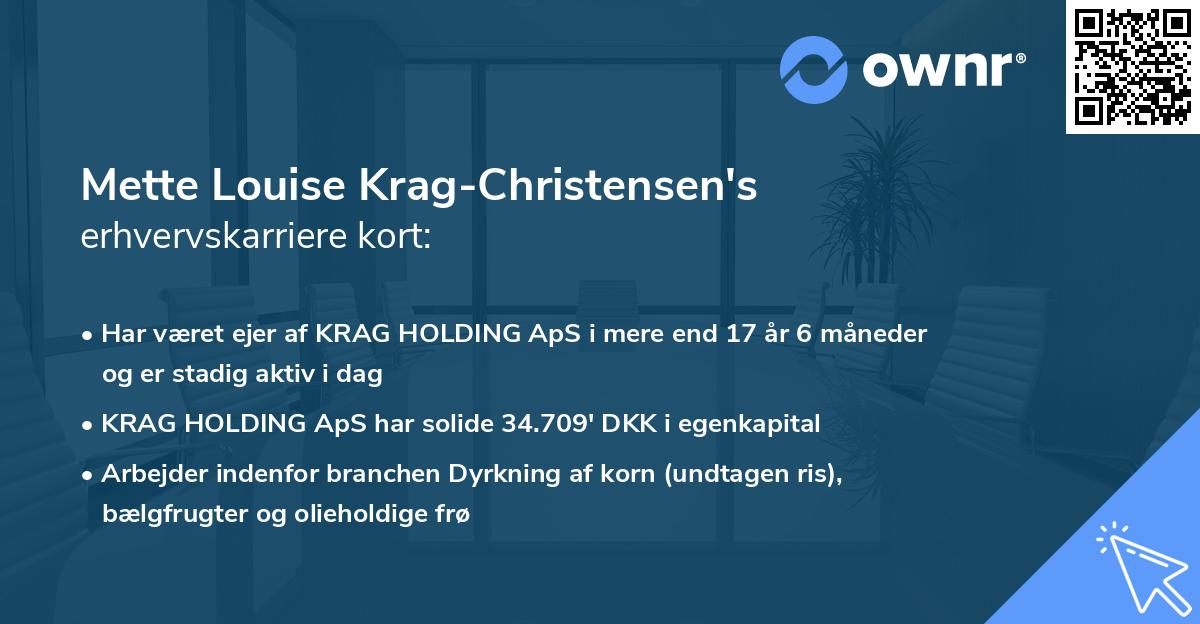 Mette Louise Krag-Christensen's erhvervskarriere kort