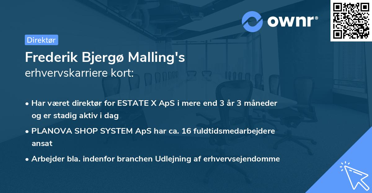 Frederik Bjergø Malling's erhvervskarriere kort