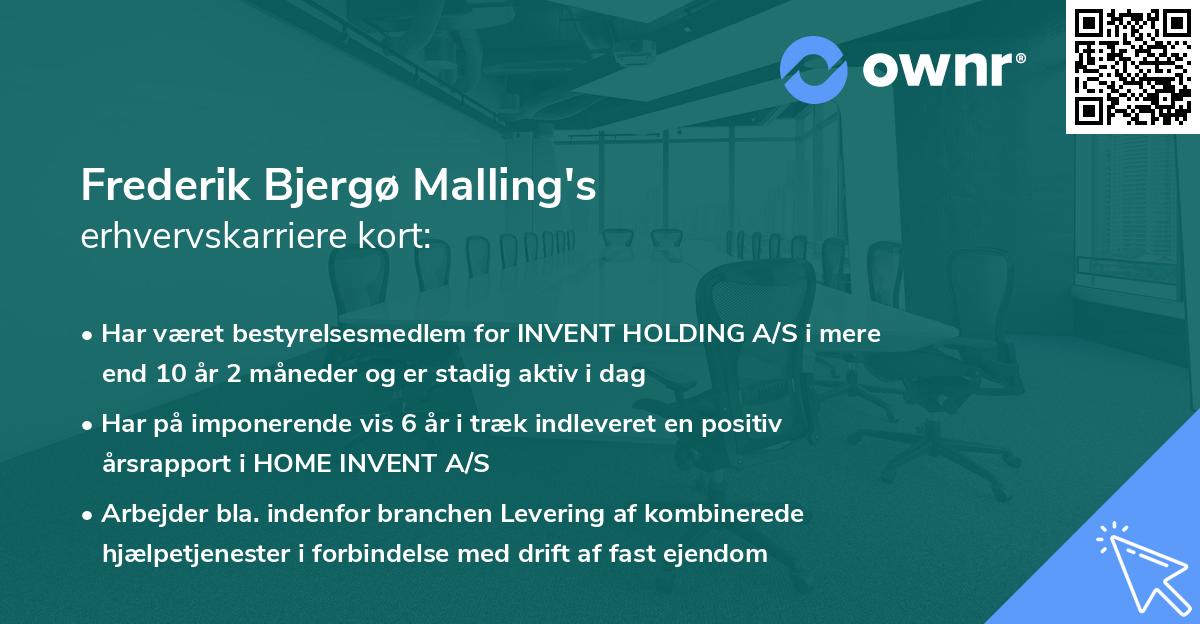 Frederik Bjergø Malling's erhvervskarriere kort