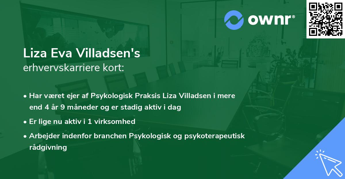 Liza Eva Villadsen's erhvervskarriere kort