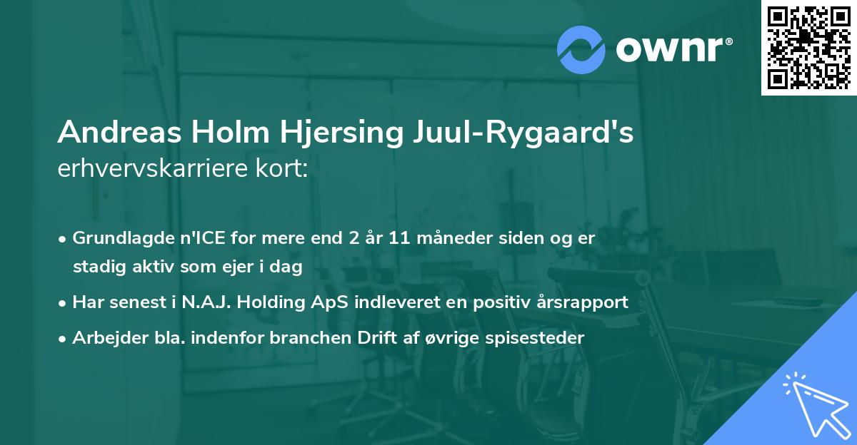 Andreas Holm Hjersing Juul-Rygaard's erhvervskarriere kort
