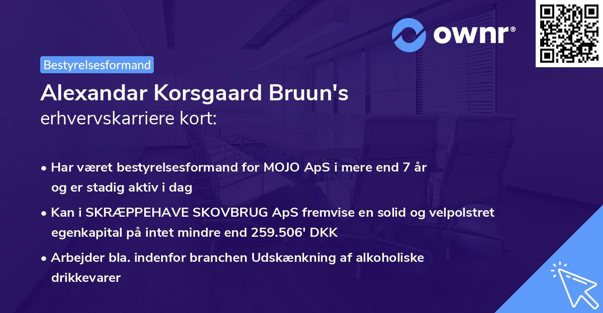 Alexandar Korsgaard Bruun's erhvervskarriere kort