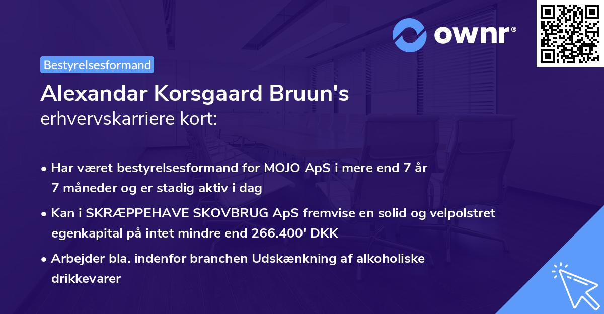Alexandar Korsgaard Bruun's erhvervskarriere kort