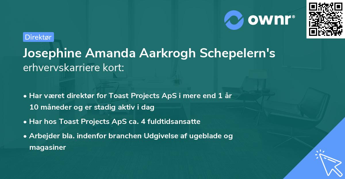 Josephine Amanda Aarkrogh Schepelern's erhvervskarriere kort