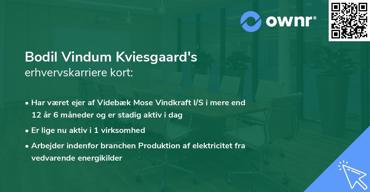 Bodil Vindum Kviesgaard's erhvervskarriere kort