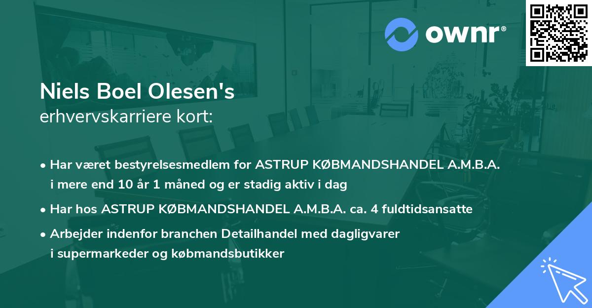 Niels Boel Olesen's erhvervskarriere kort