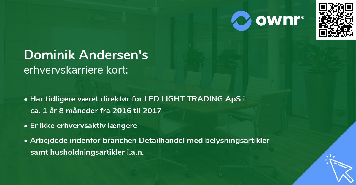 Dominik Andersen's erhvervskarriere kort