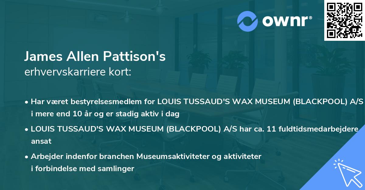 James Allen Pattison's erhvervskarriere kort