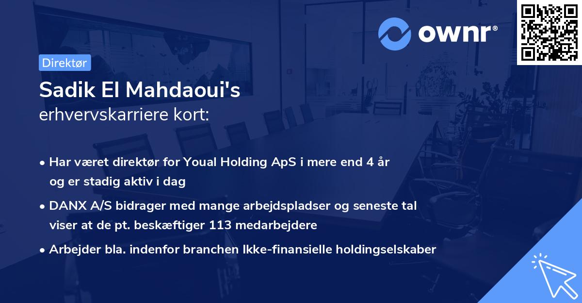 Sadik El Mahdaoui's erhvervskarriere kort