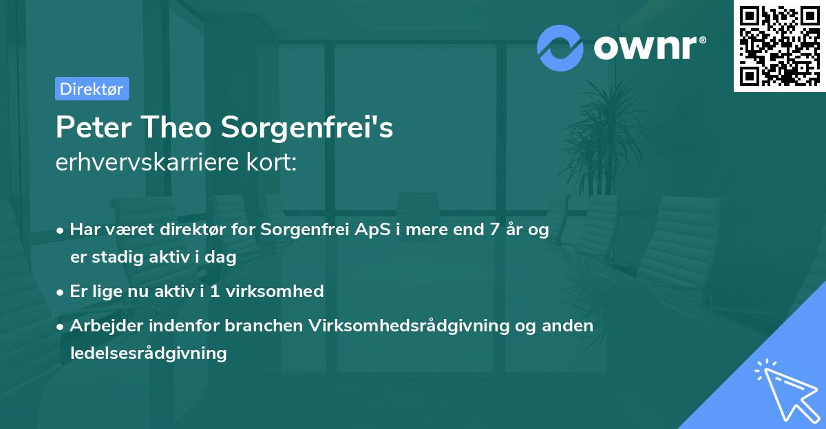 Peter Theo Sorgenfrei's erhvervskarriere kort
