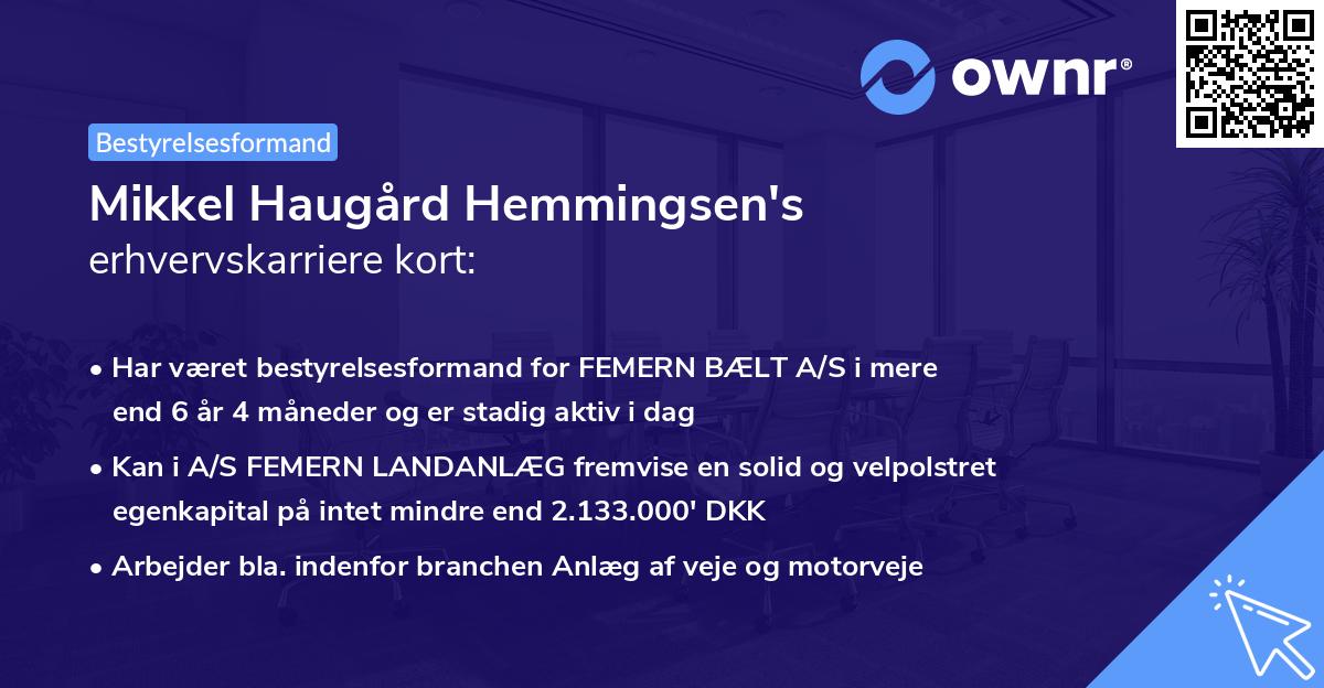 Mikkel Haugård Hemmingsen's erhvervskarriere kort
