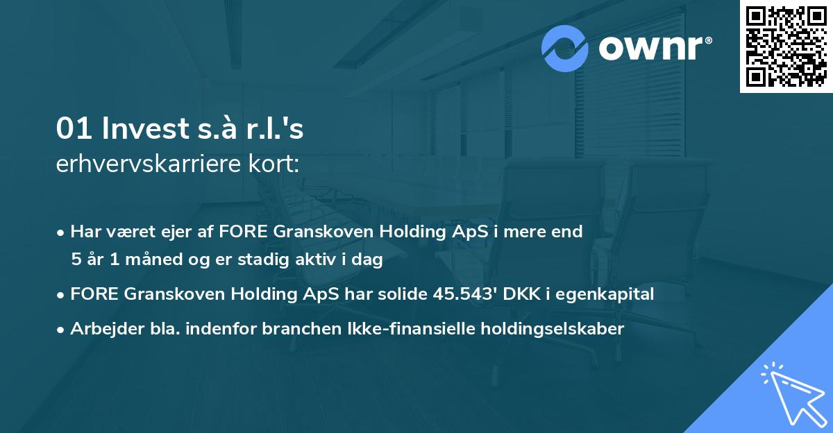 01 Invest s.à r.l.'s erhvervskarriere kort