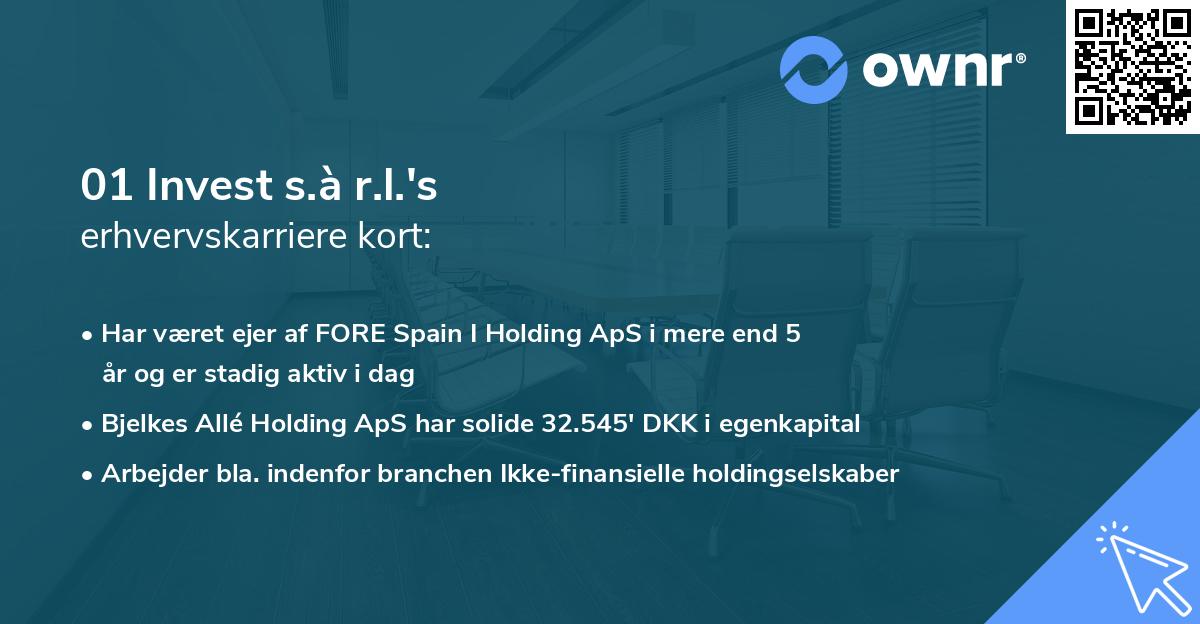 01 Invest s.à r.l.'s erhvervskarriere kort