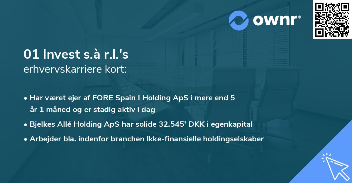 01 Invest s.à r.l.'s erhvervskarriere kort