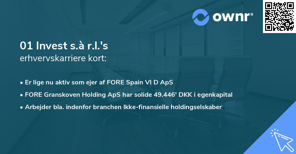 01 Invest s.à r.l.'s erhvervskarriere kort