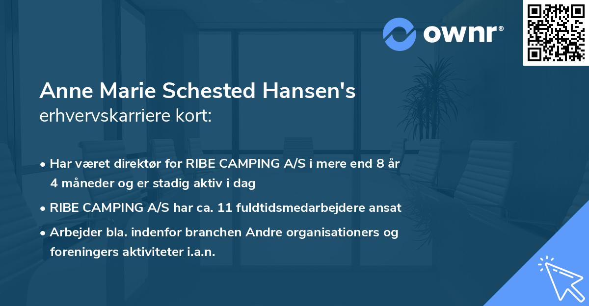 Anne Marie Schested Hansen's erhvervskarriere kort