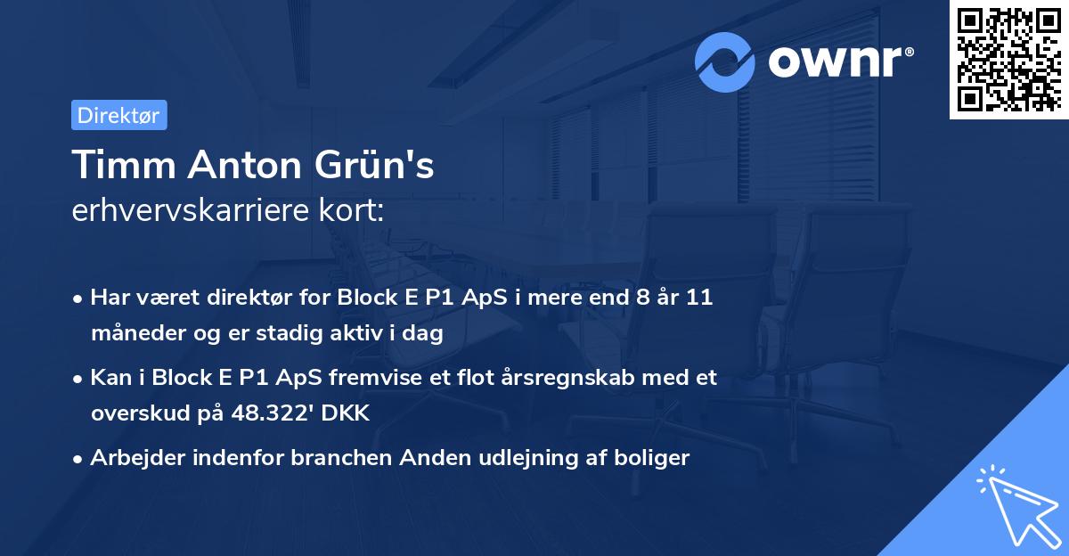 Timm Anton Grün's erhvervskarriere kort