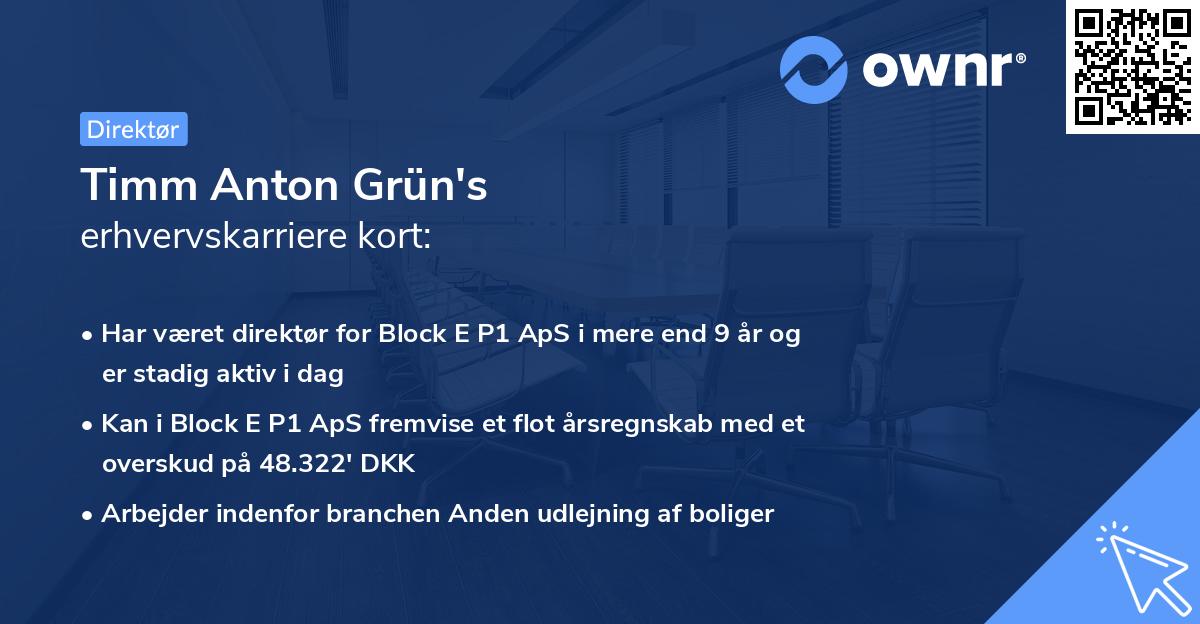 Timm Anton Grün's erhvervskarriere kort