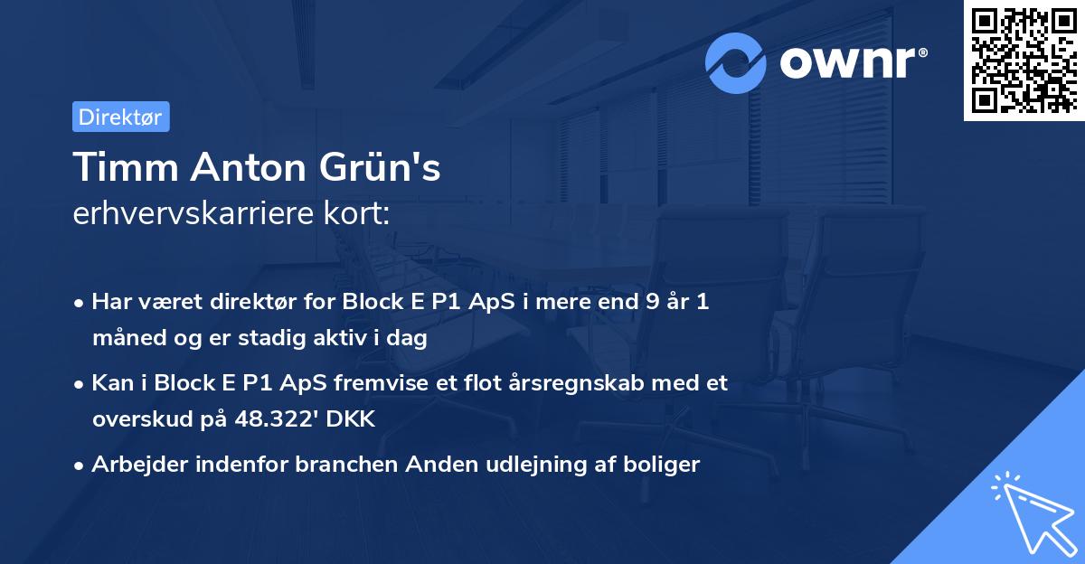 Timm Anton Grün's erhvervskarriere kort