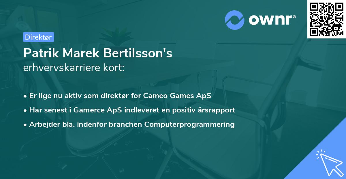 Patrik Marek Bertilsson's erhvervskarriere kort
