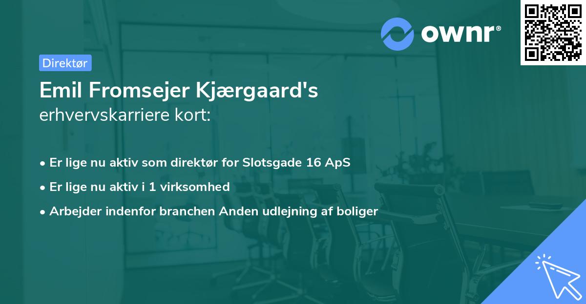 Emil Fromsejer Kjærgaard's erhvervskarriere kort